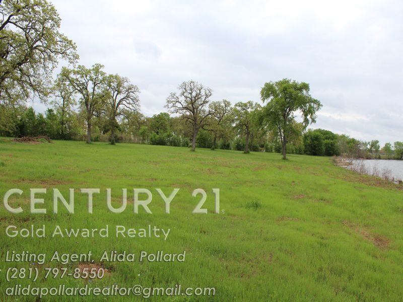 2569 FM 3371, Groesbeck, TX 76642